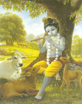 Krishna