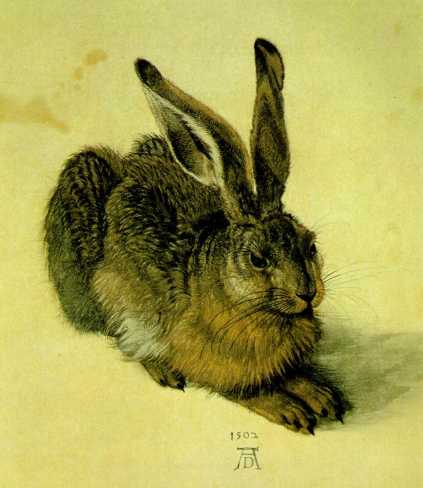 L'antenato di SuperZeko raffigurato da Albrecht Dürer